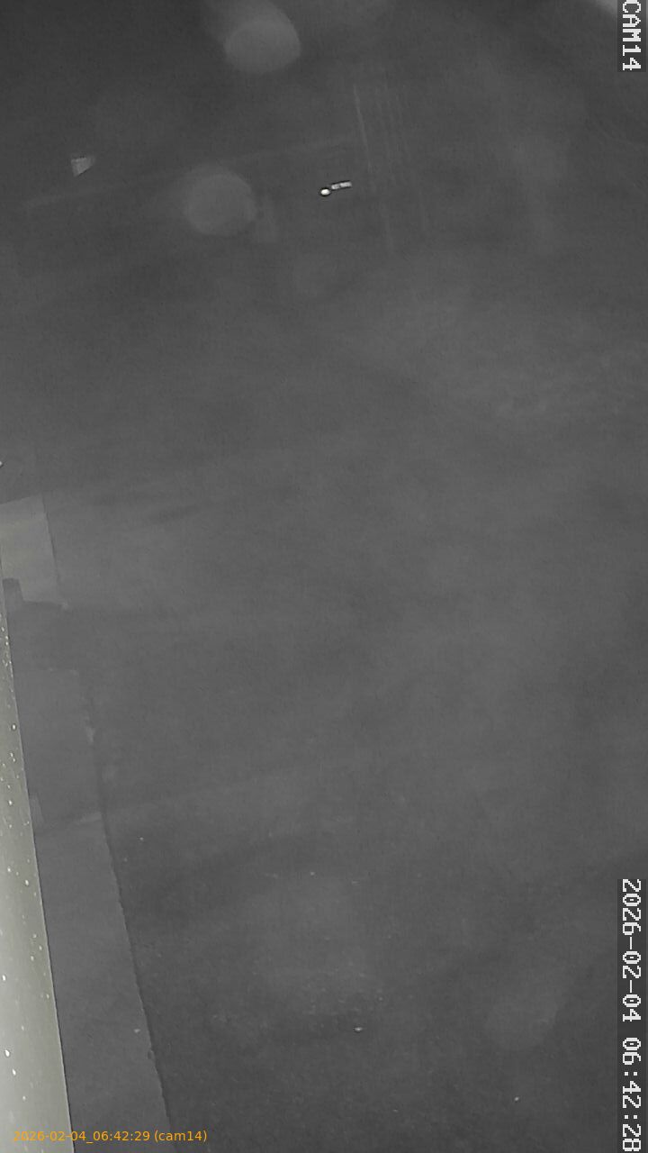 thumbnail_20260204064229