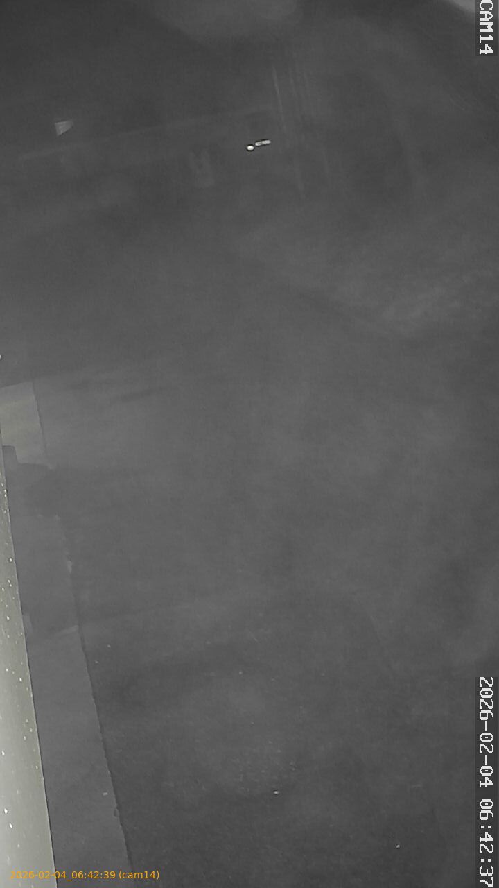 thumbnail_20260204064239