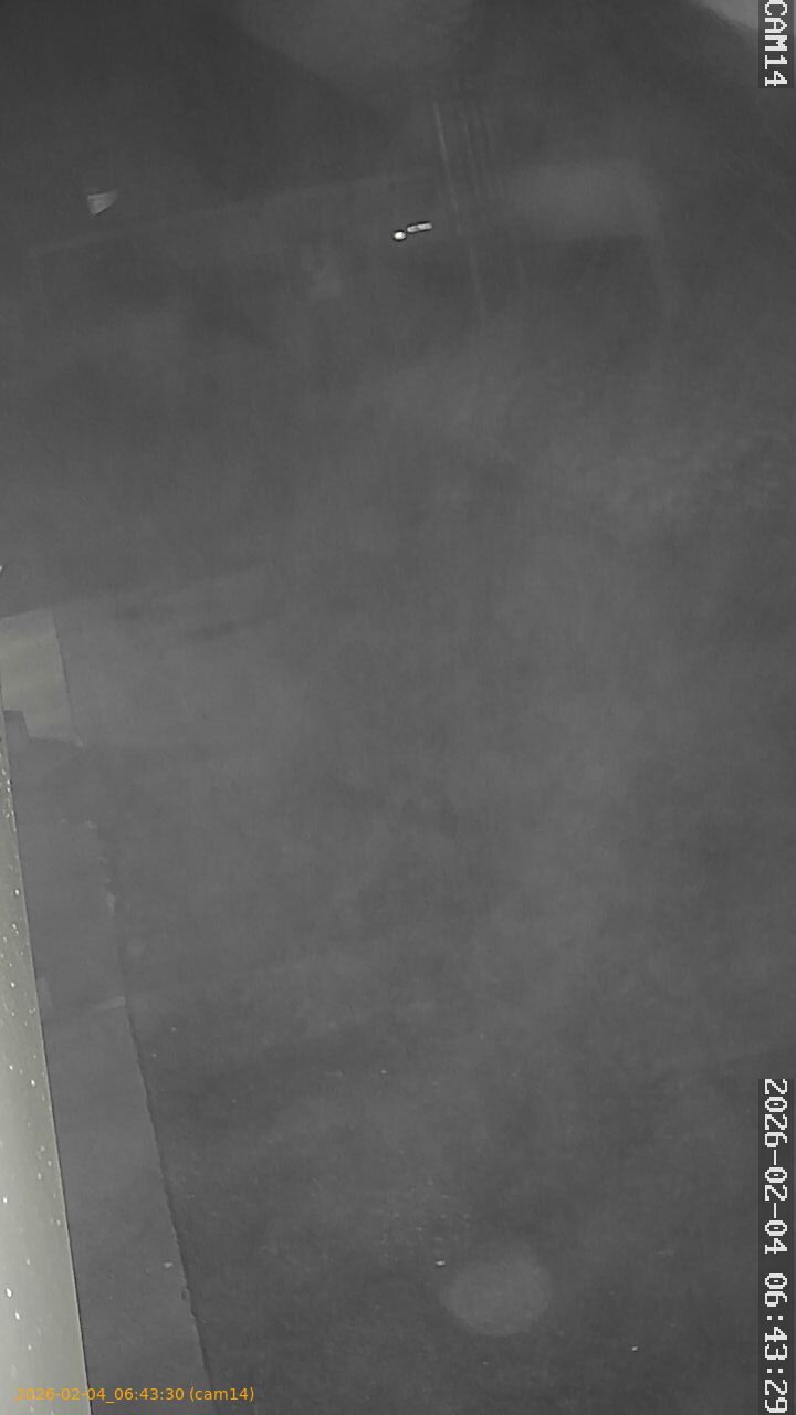 thumbnail_20260204064330