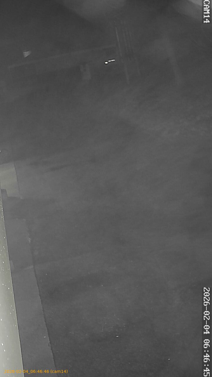 thumbnail_20260204064646