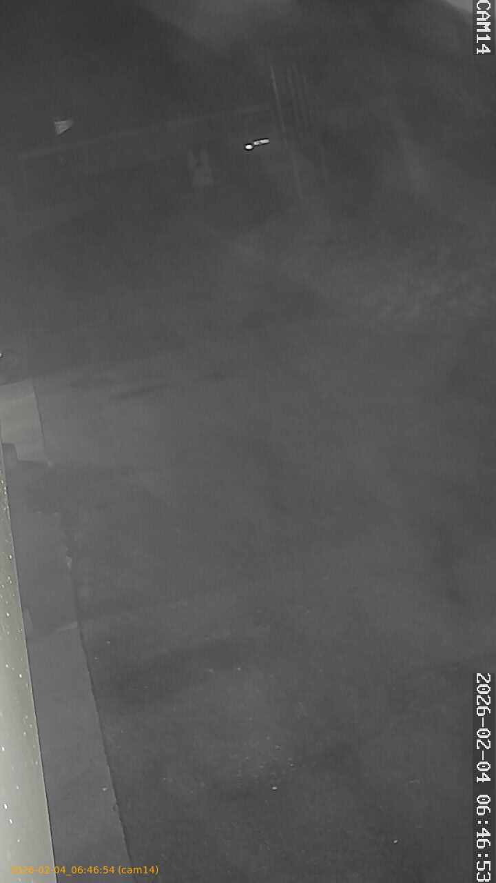 thumbnail_20260204064653