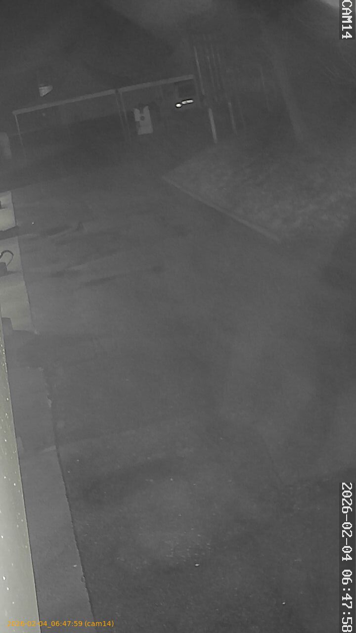 thumbnail_20260204064759