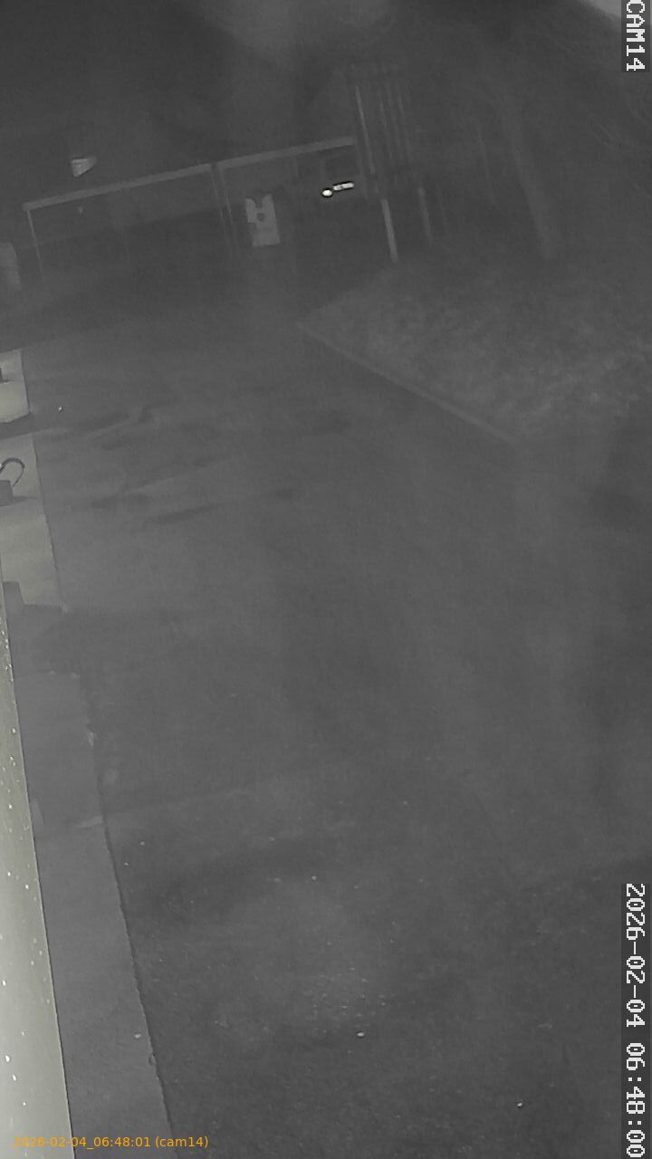 thumbnail_20260204064801