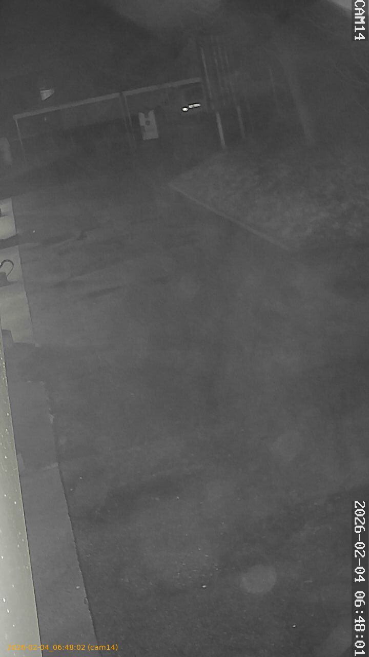 thumbnail_20260204064802