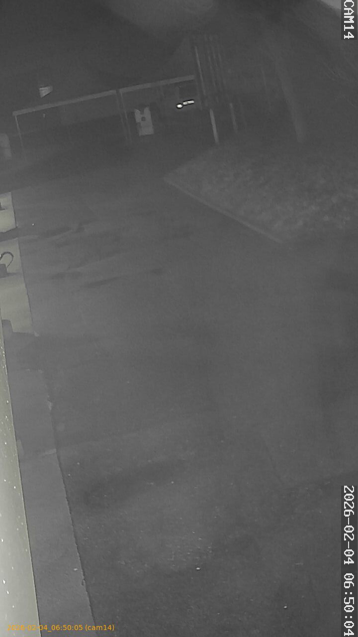 thumbnail_20260204065005