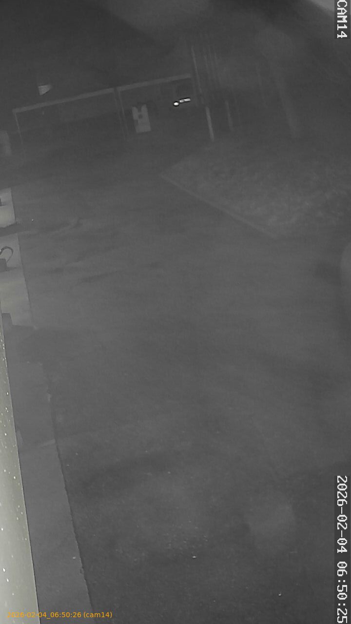 thumbnail_20260204065026