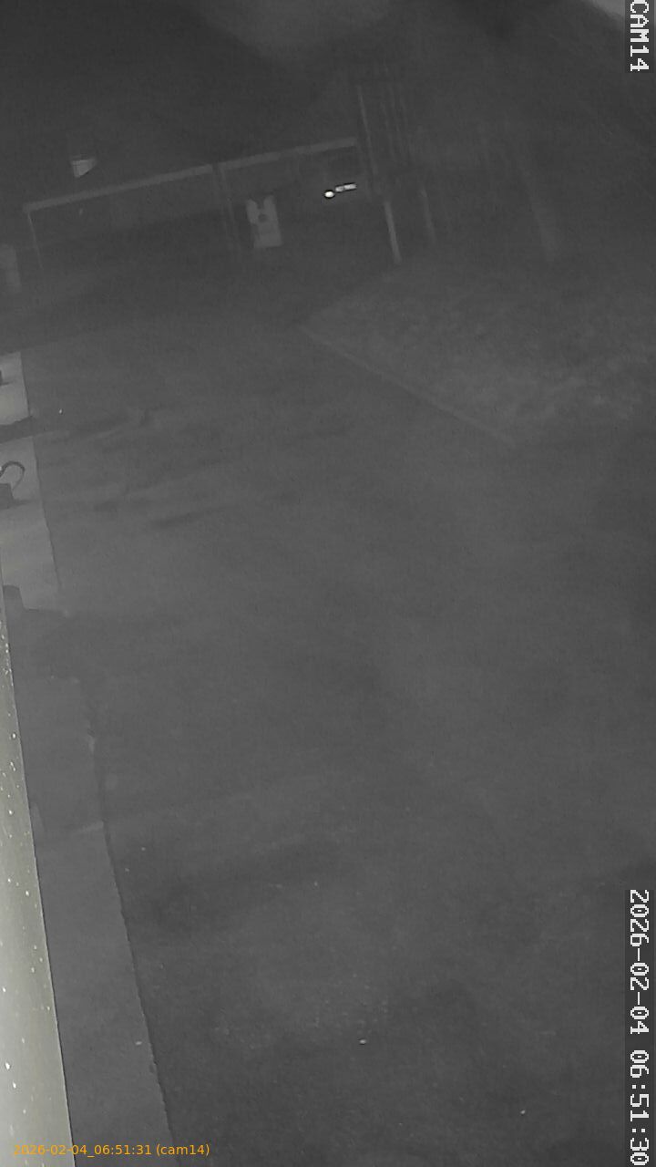 thumbnail_20260204065131