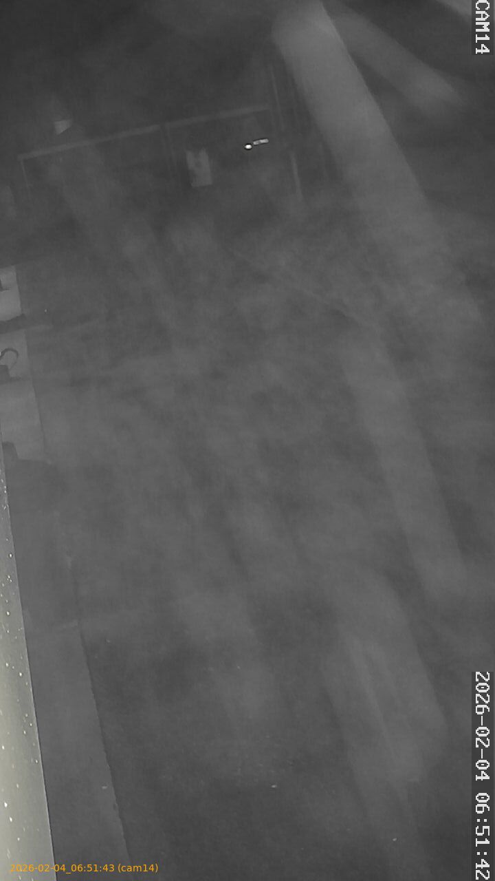 thumbnail_20260204065143