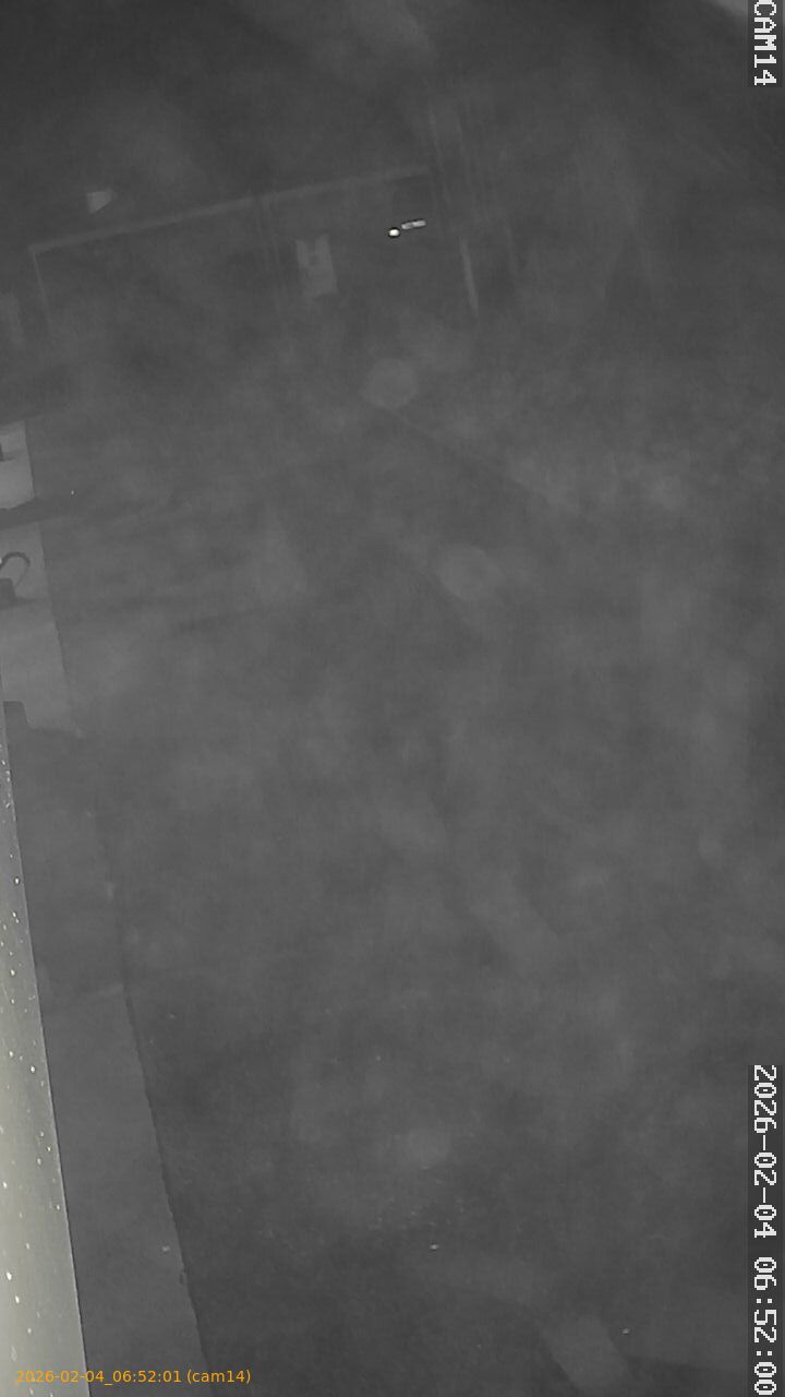 thumbnail_20260204065201