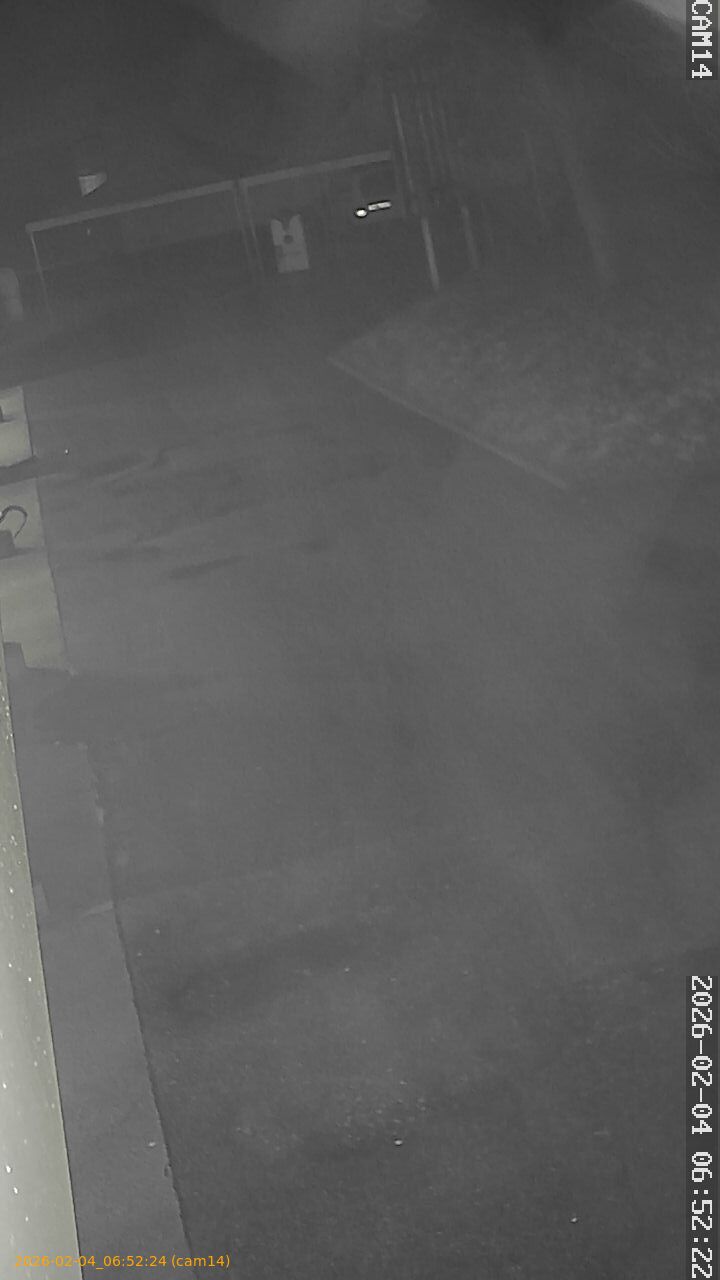 thumbnail_20260204065224