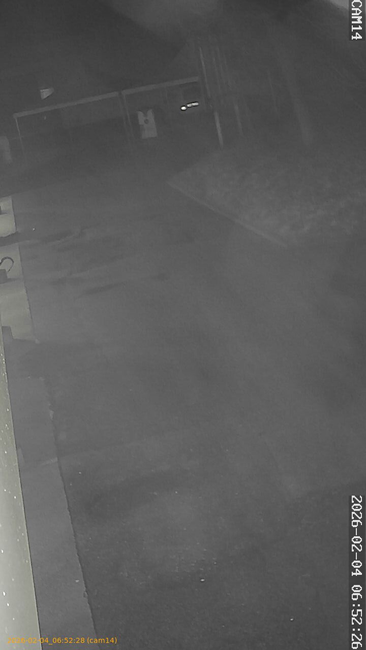 thumbnail_20260204065228