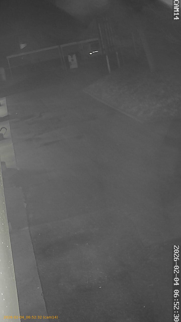 thumbnail_20260204065232