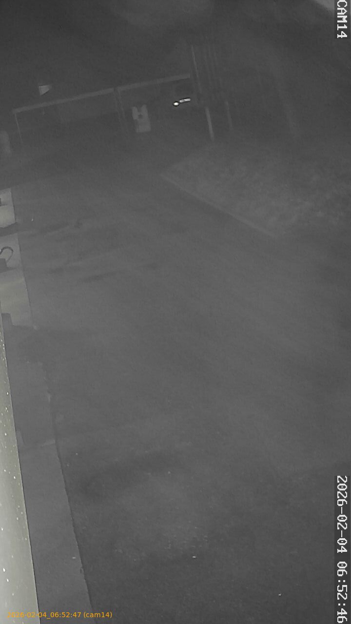 thumbnail_20260204065247