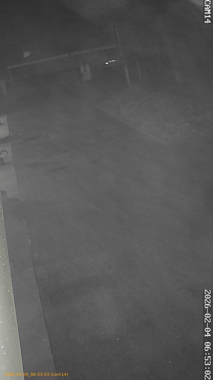 thumbnail_20260204065303