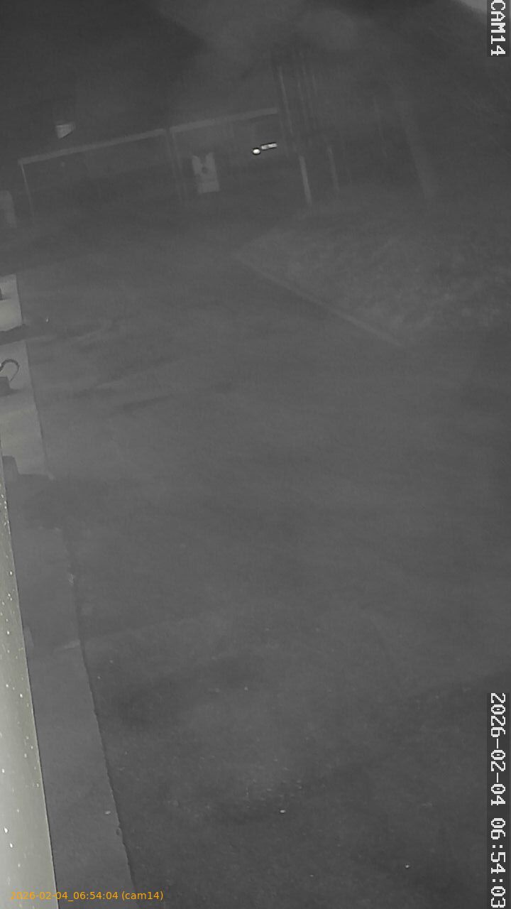 thumbnail_20260204065404