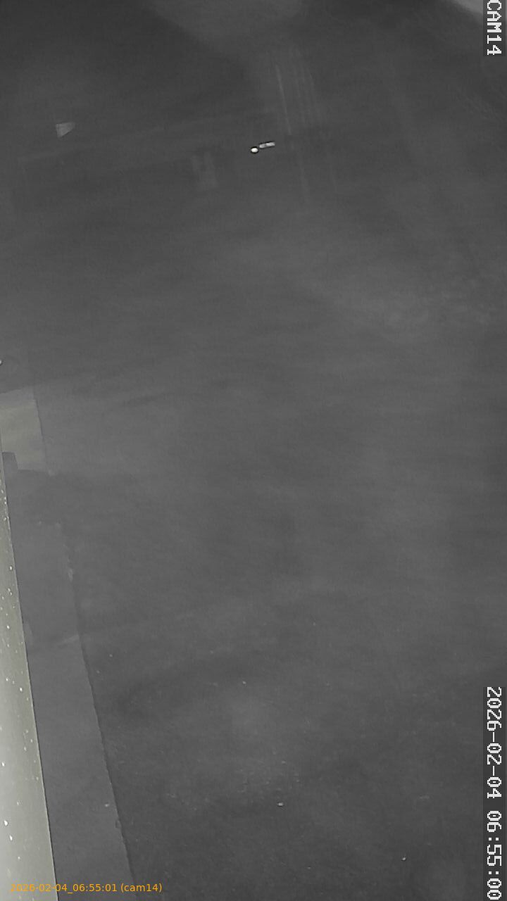 thumbnail_20260204065501