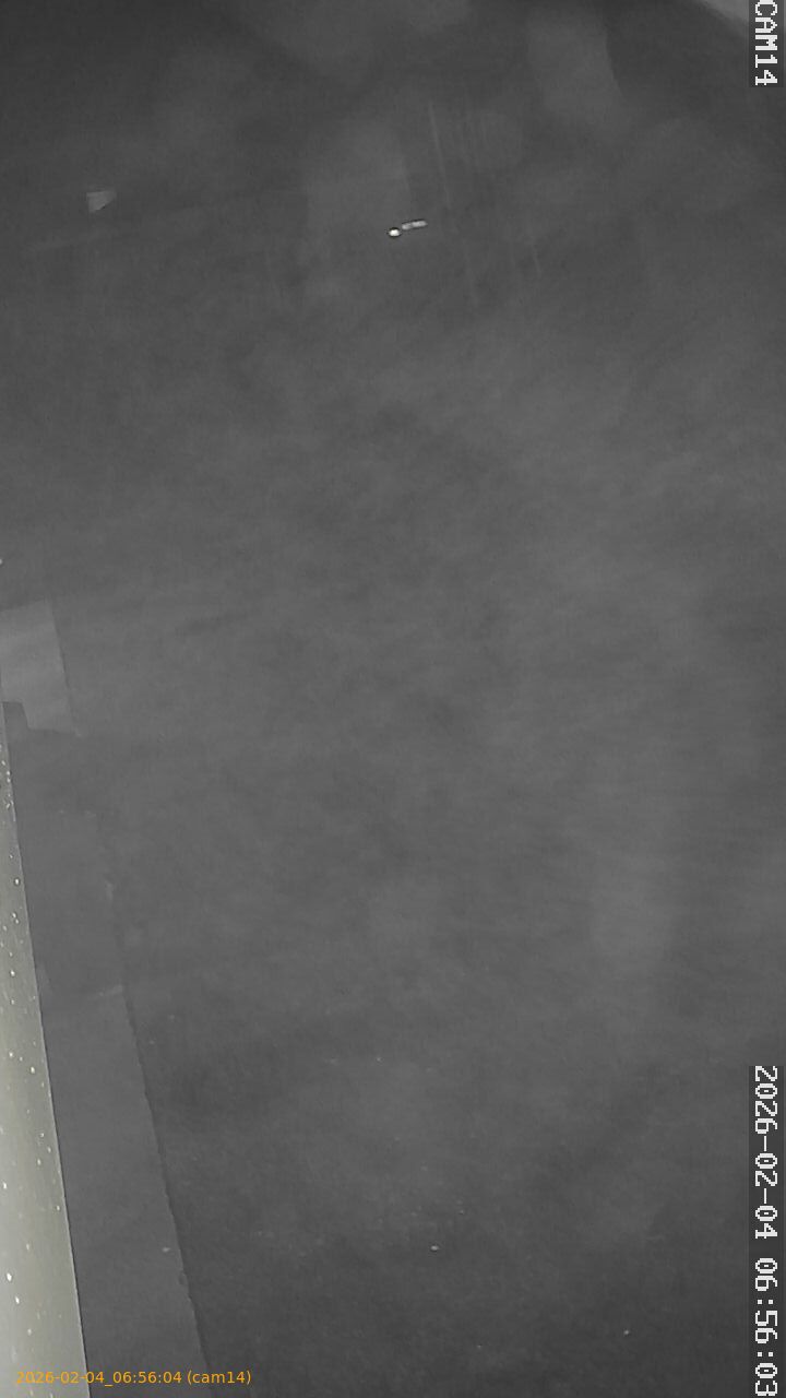 thumbnail_20260204065604