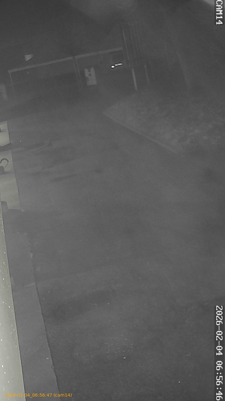 thumbnail_20260204065647