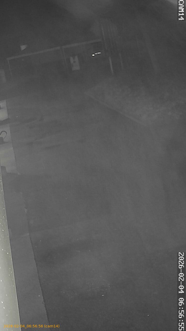 thumbnail_20260204065656