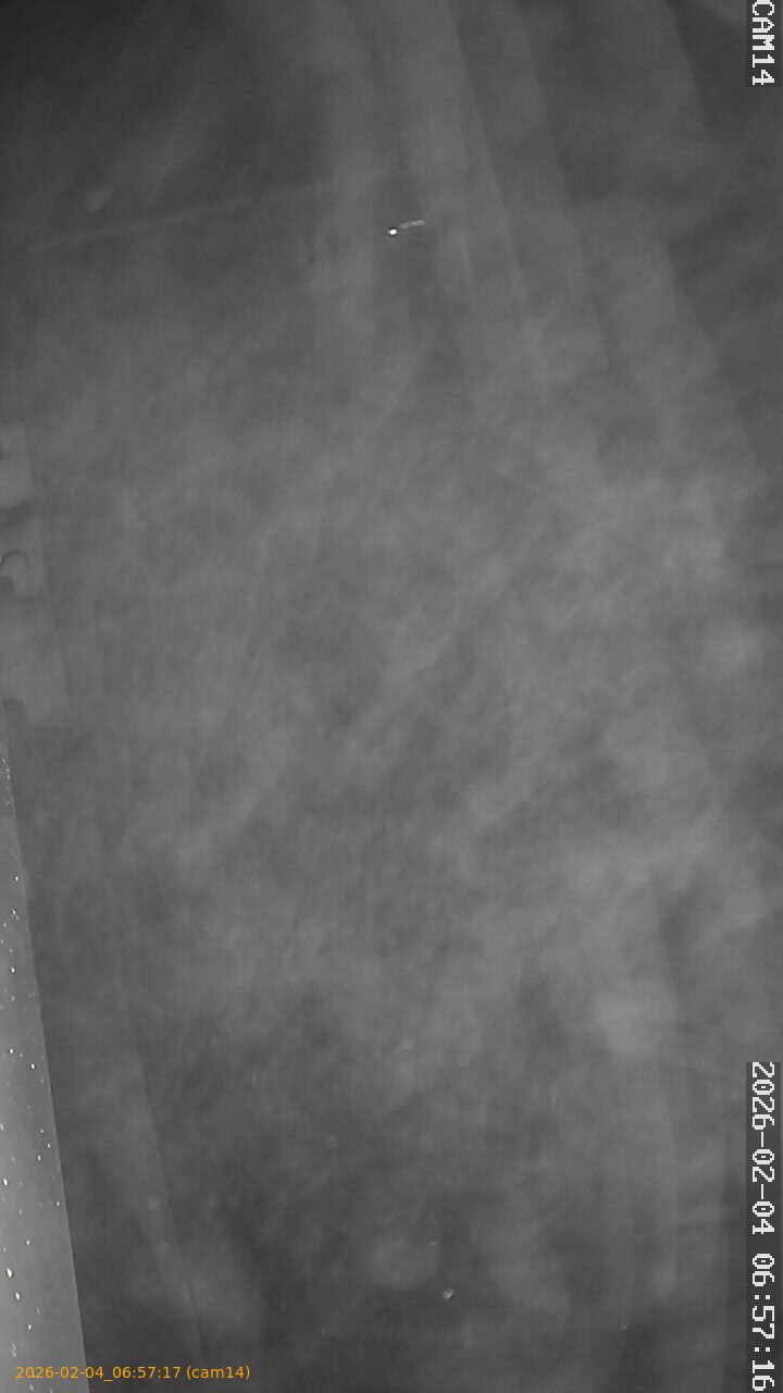 thumbnail_20260204065717