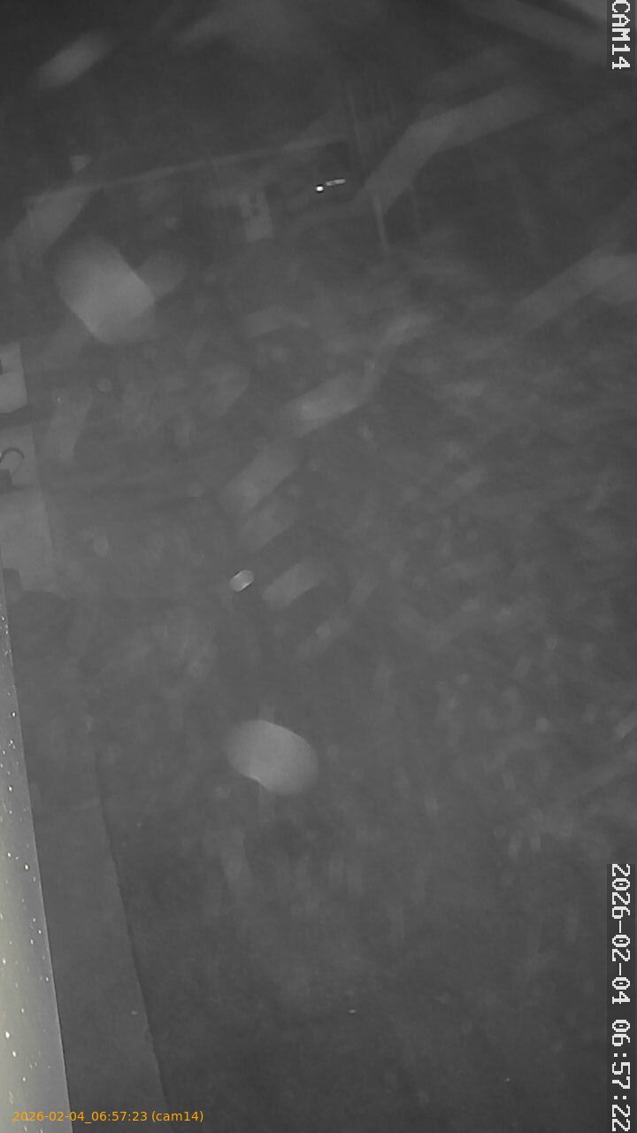 thumbnail_20260204065723