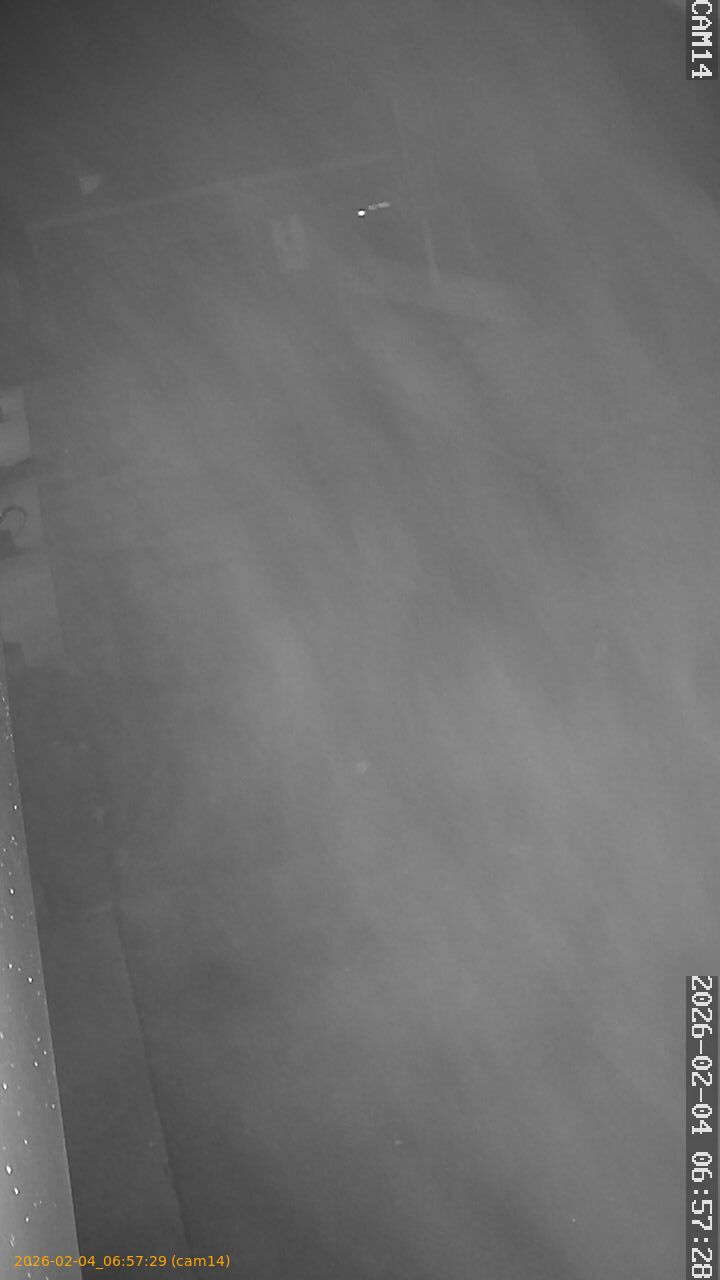 thumbnail_20260204065729