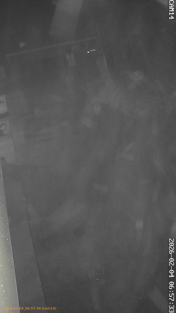 thumbnail_20260204065734