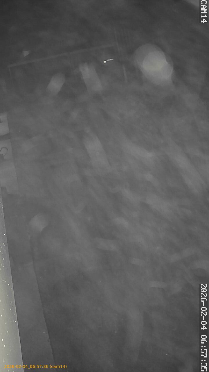 thumbnail_20260204065736