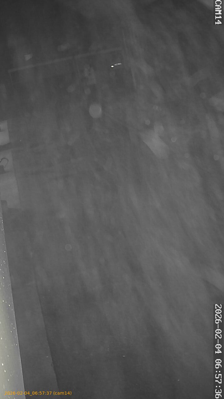 thumbnail_20260204065737