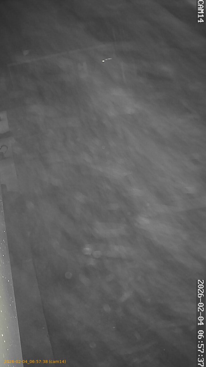 thumbnail_20260204065738