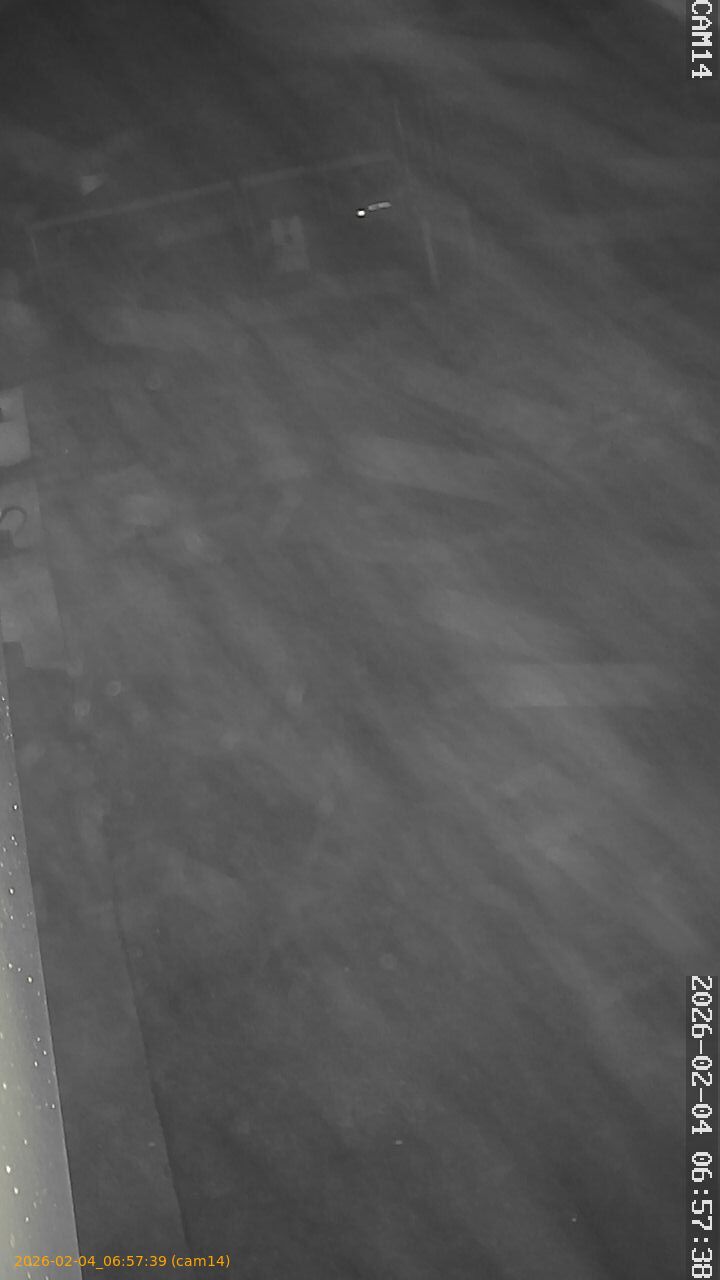 thumbnail_20260204065739