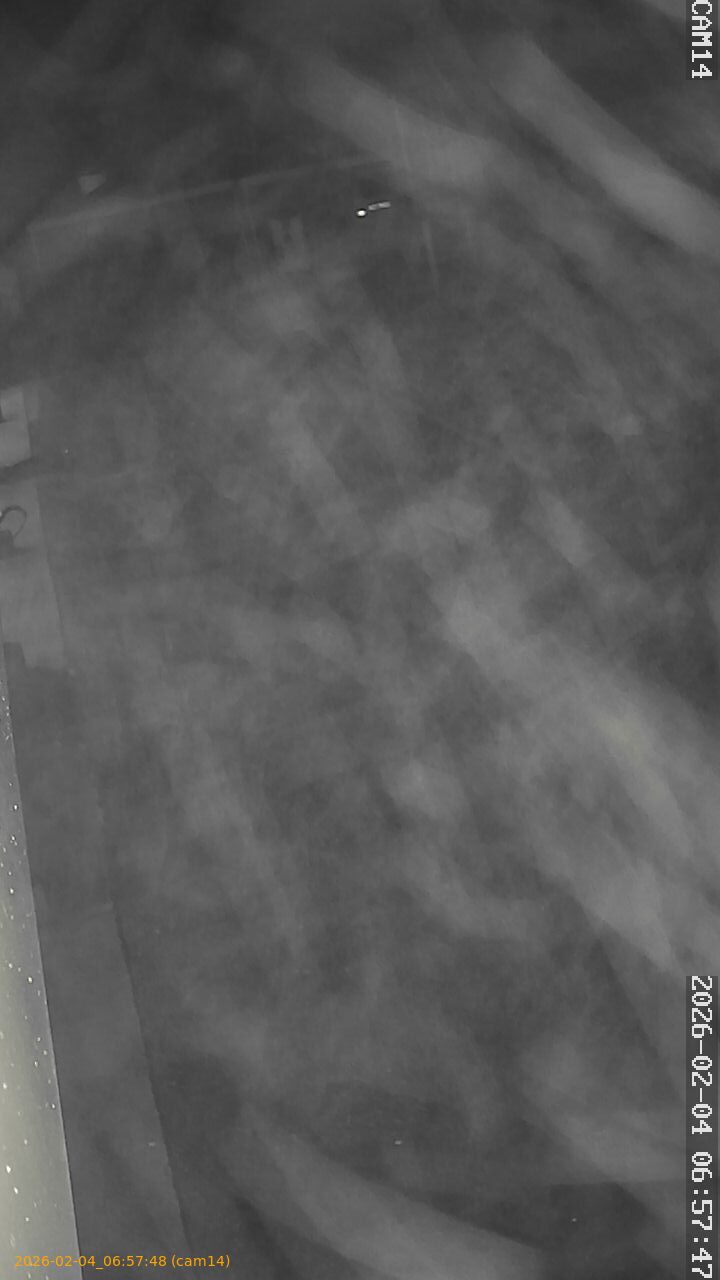 thumbnail_20260204065748