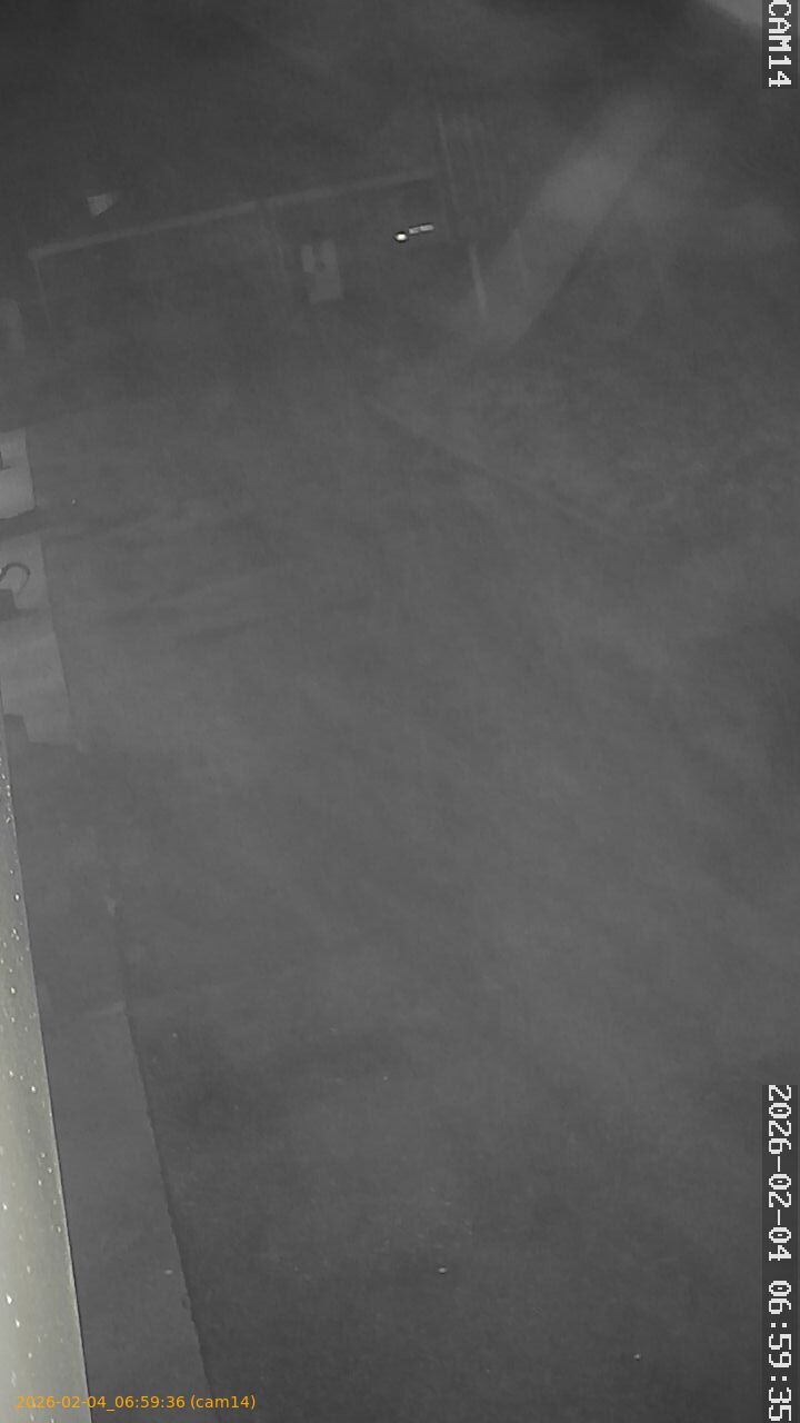 thumbnail_20260204065936