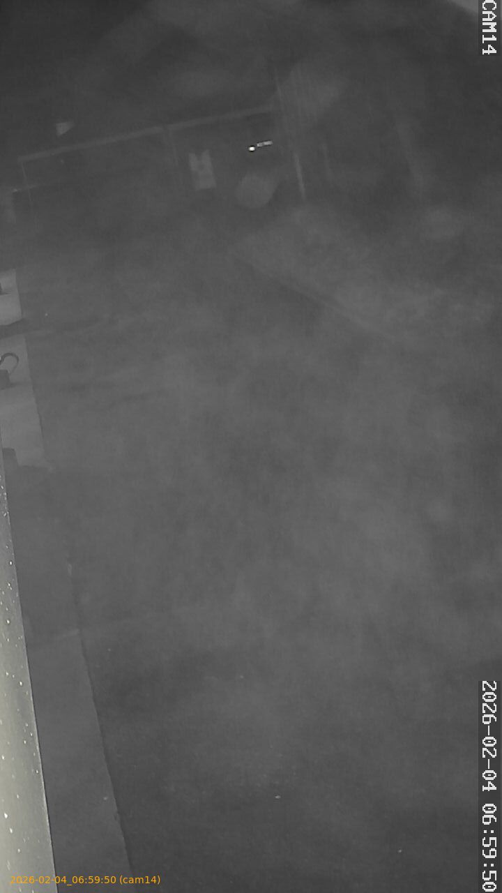 thumbnail_20260204065950