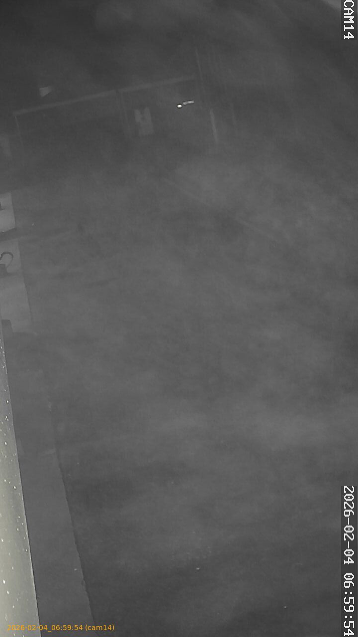 thumbnail_20260204065954