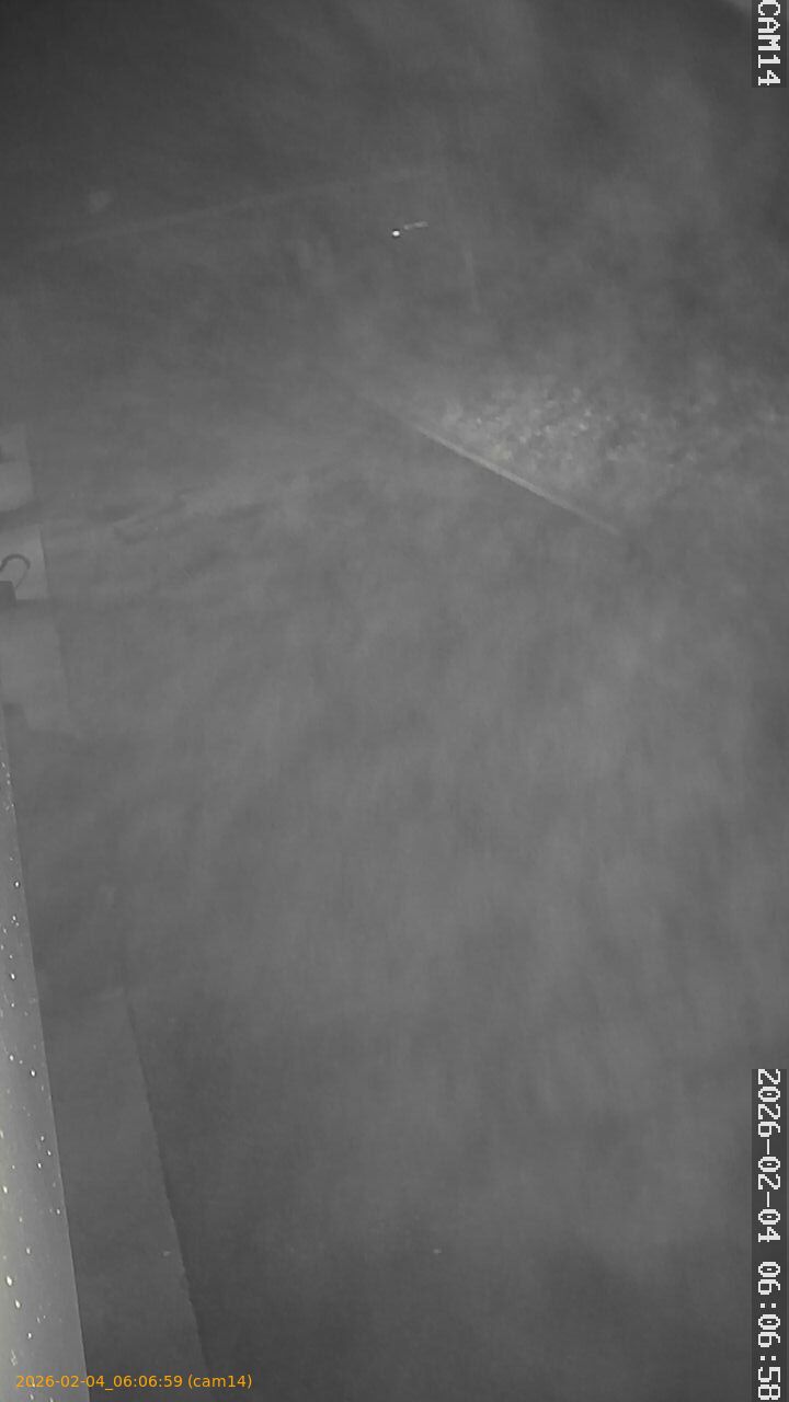 thumbnail_202602040606