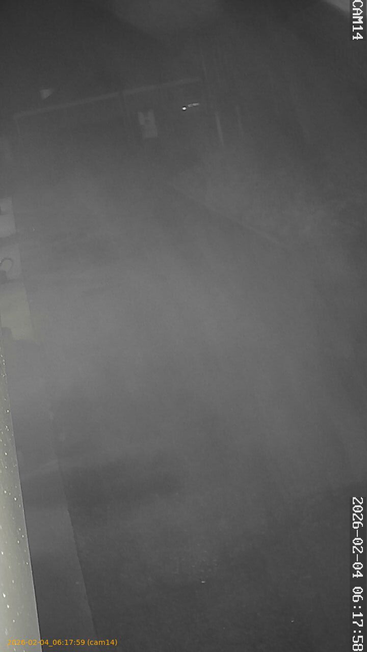 thumbnail_202602040617