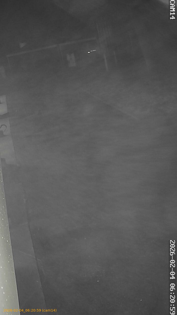 thumbnail_202602040620