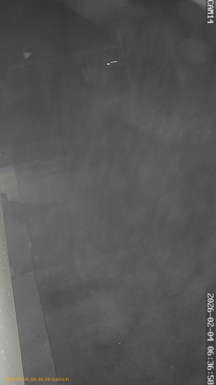 thumbnail_202602040636