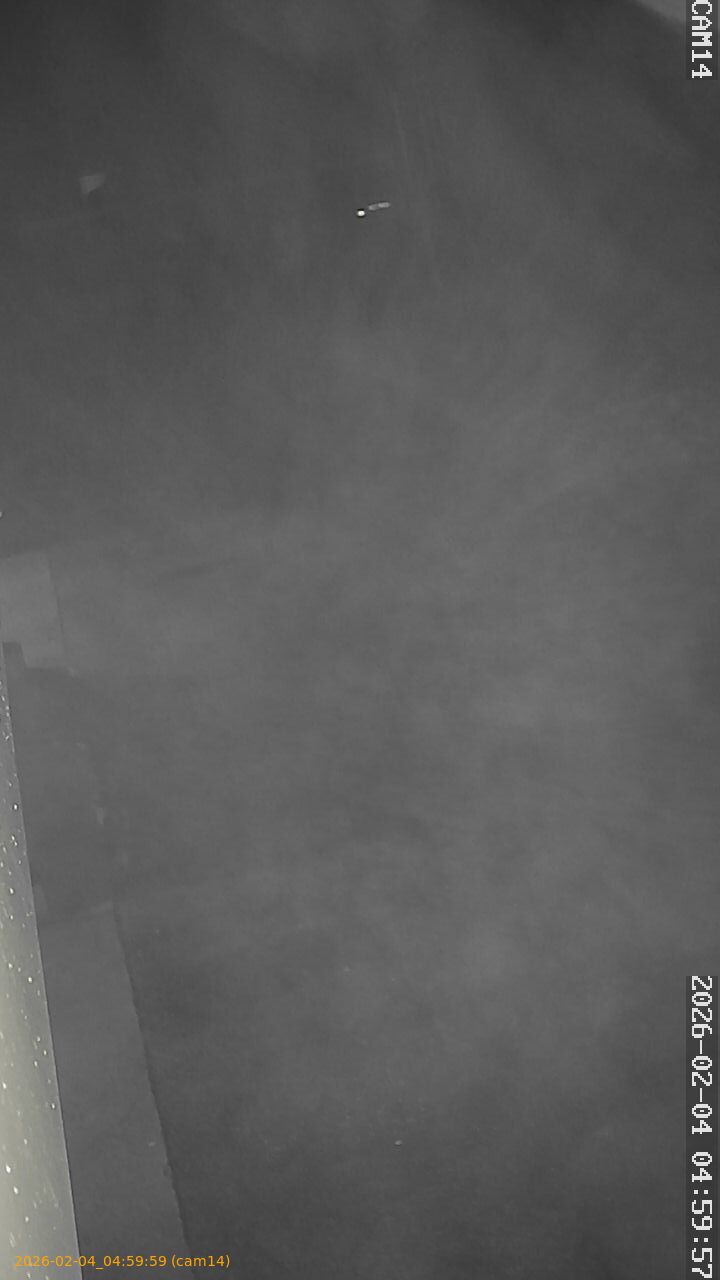 thumbnail_2026020404