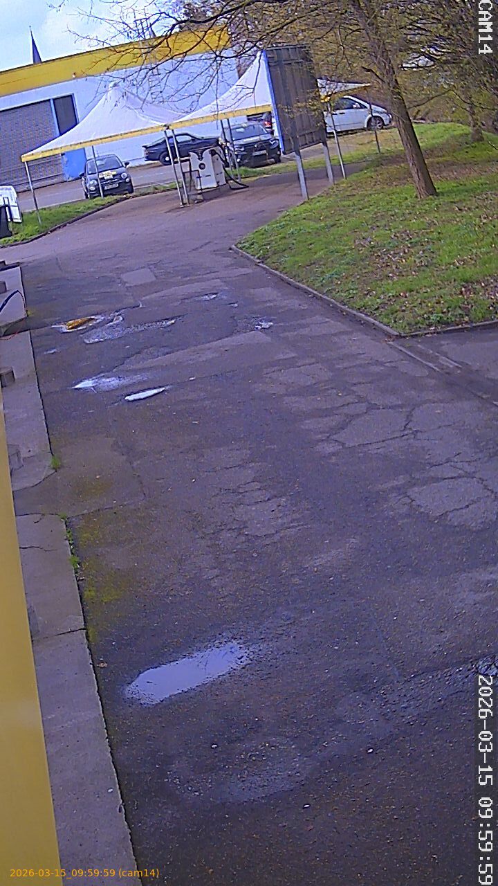 thumbnail_2026031509