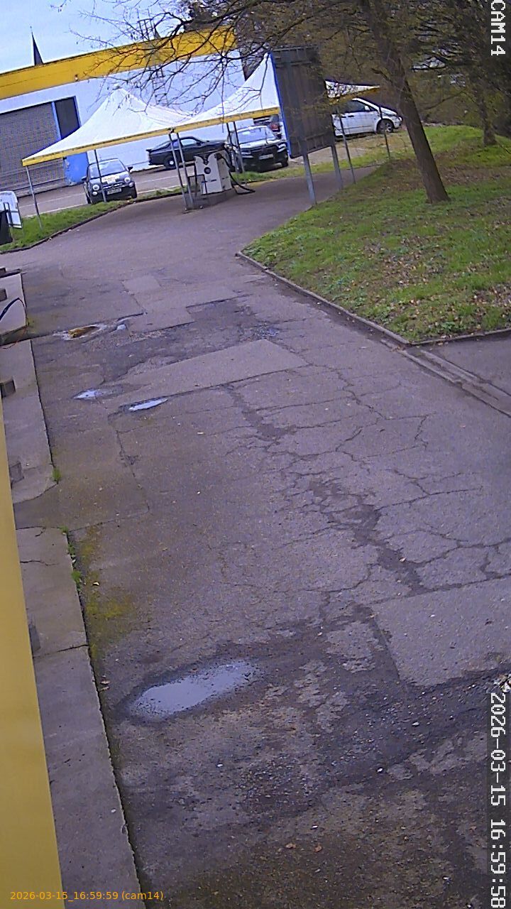 thumbnail_2026031516