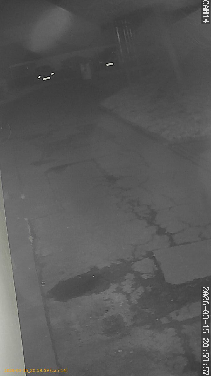 thumbnail_2026031520