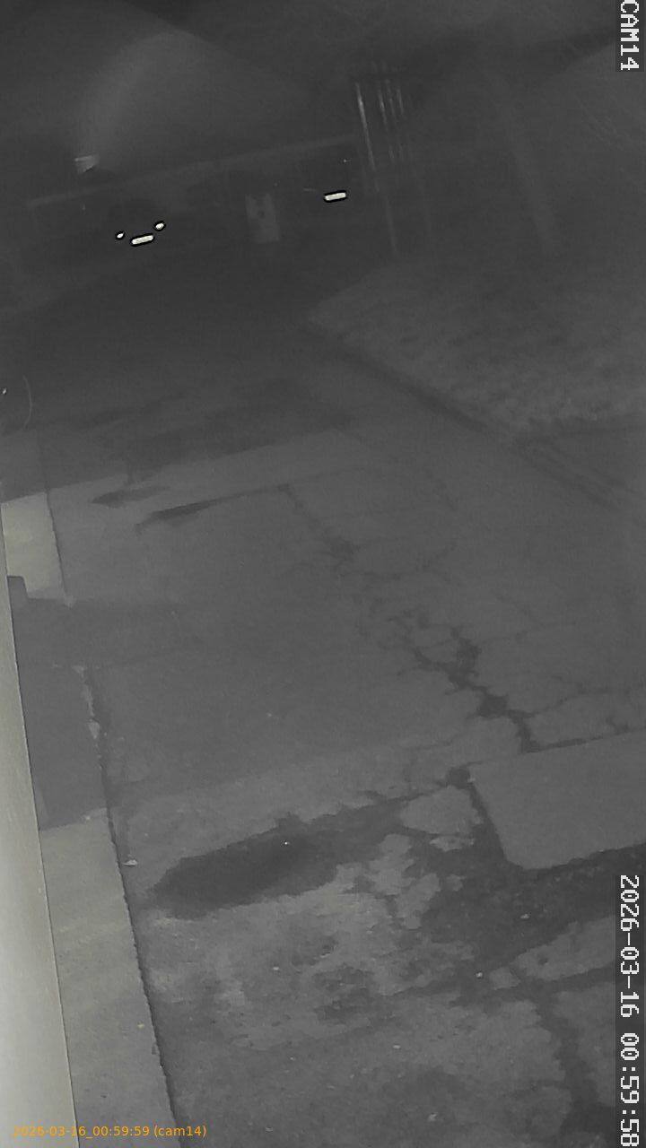 thumbnail_2026031600