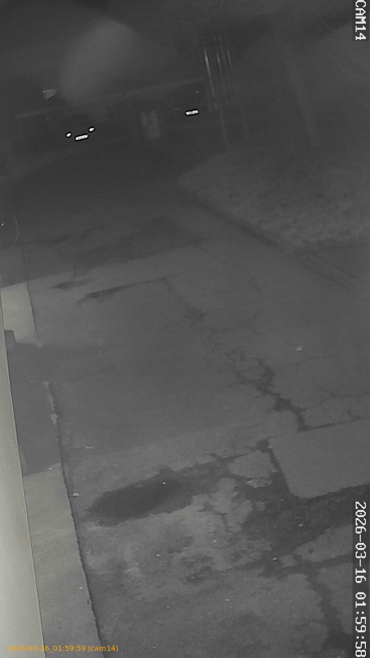 thumbnail_2026031601