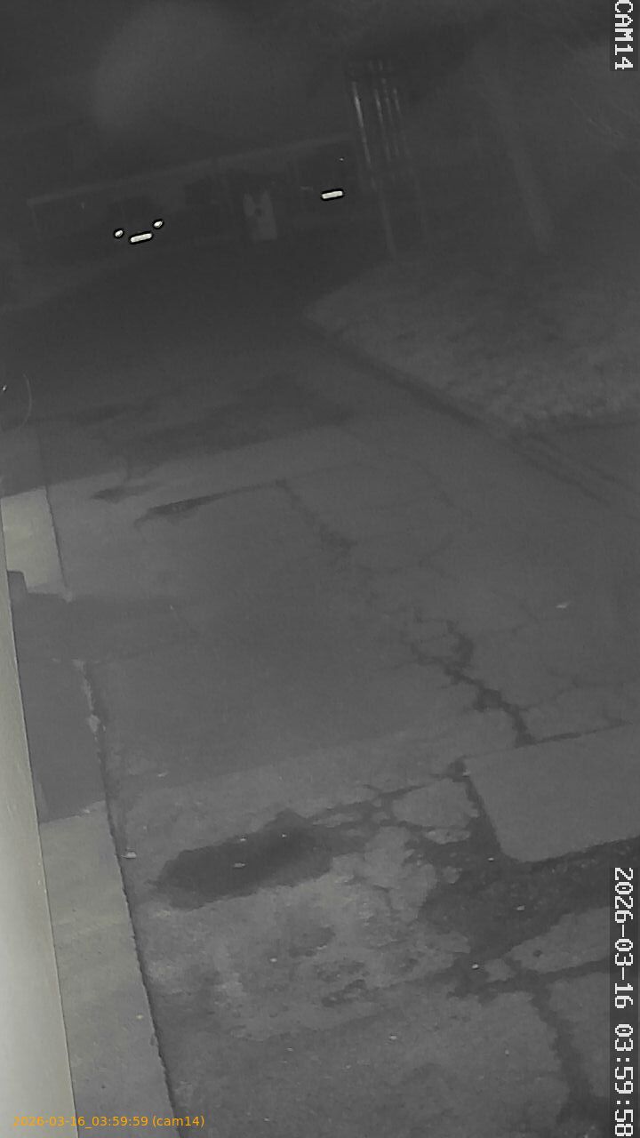 thumbnail_2026031603