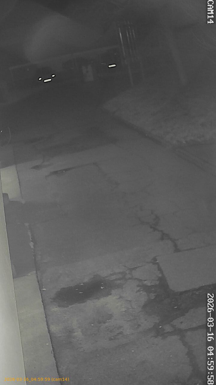 thumbnail_2026031604