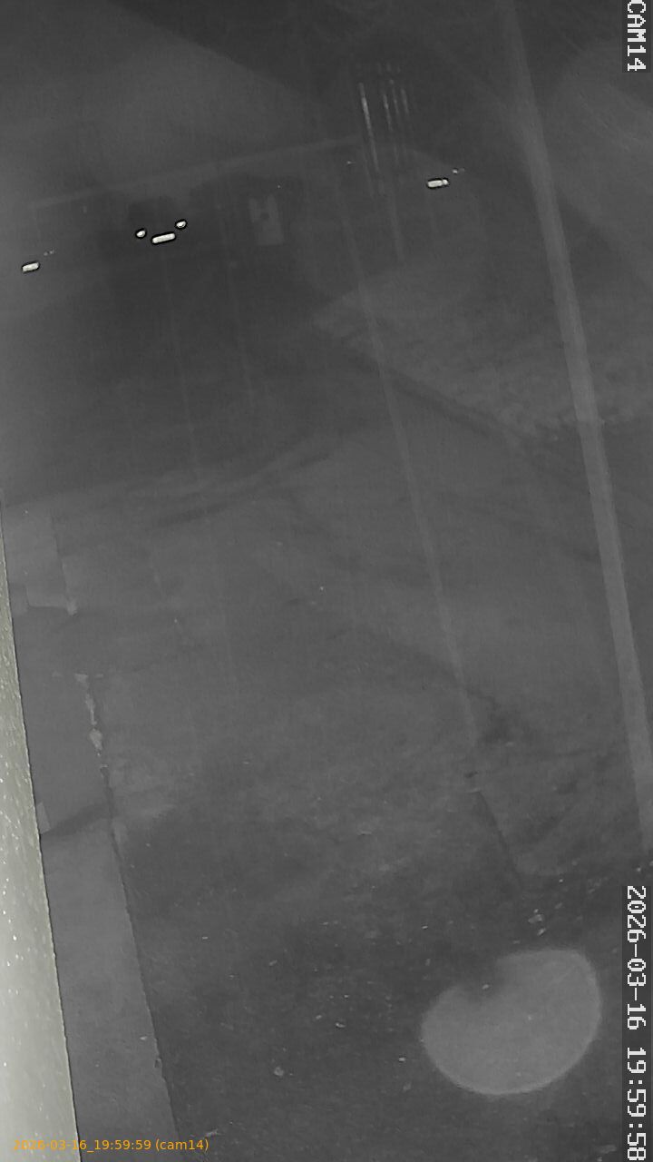 thumbnail_2026031619