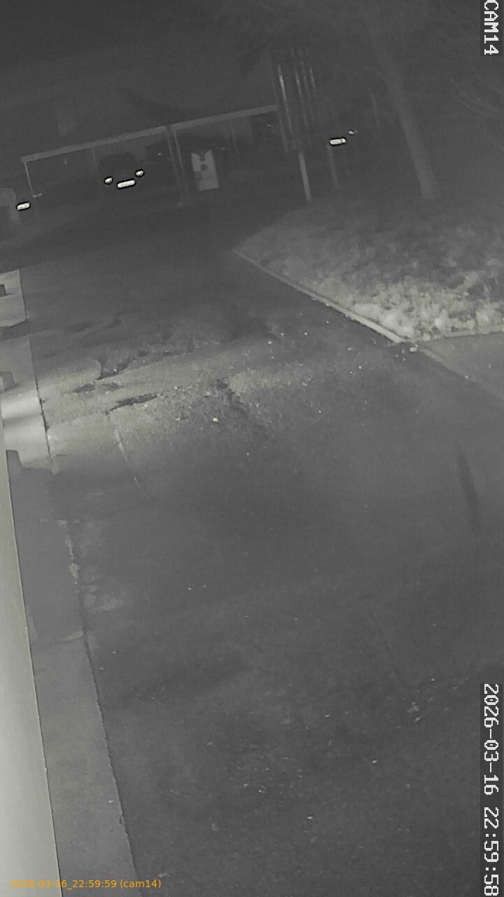 thumbnail_2026031622