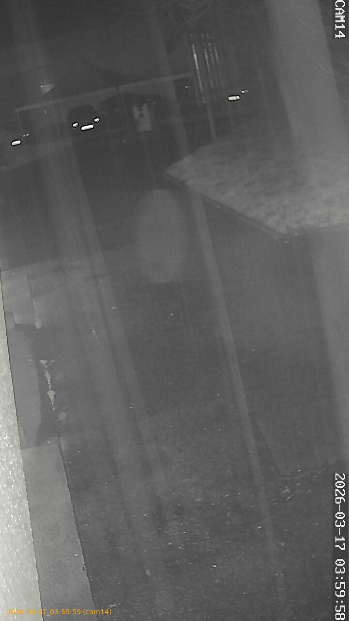 thumbnail_2026031703